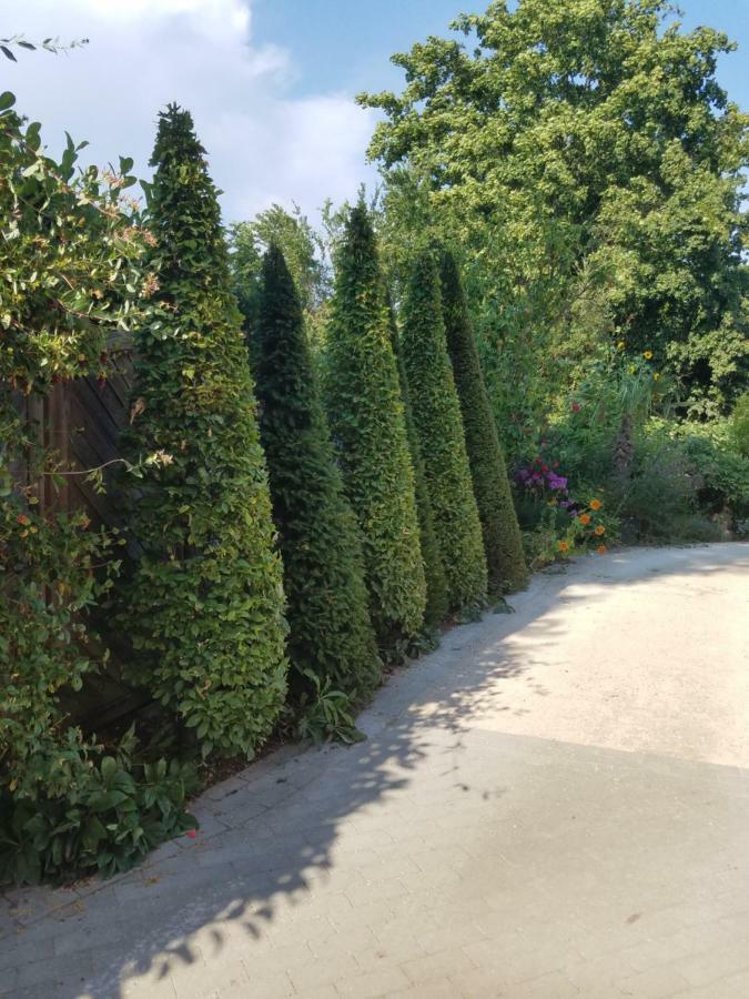 Webergarten Йострих-Винкел Екстериор снимка