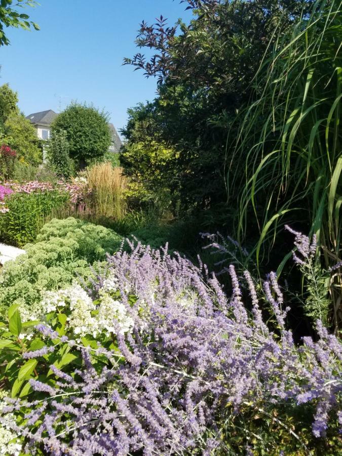 Webergarten Йострих-Винкел Екстериор снимка